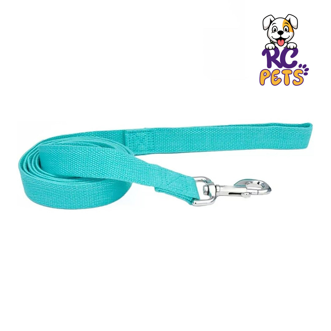 RC Pets - Dog Lead Mint Green - 6 feet x 5/8"W